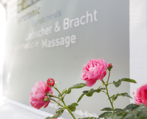 Praxis für Schmerz- und Bewegungstherapie