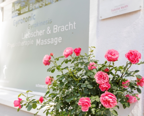 Praxis für Schmerz- und Bewegungstherapie